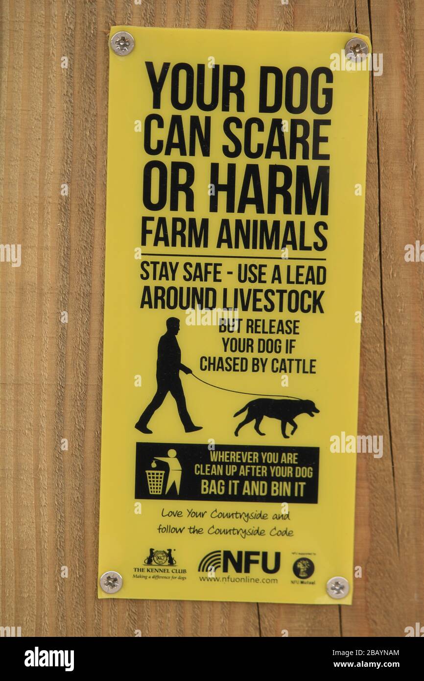 Sign post warning, your dog can scare or harm farm animals, Cumbria UK