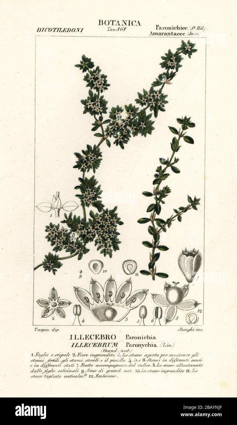 Stanghi High Resolution Stock Photography And Images Alamy