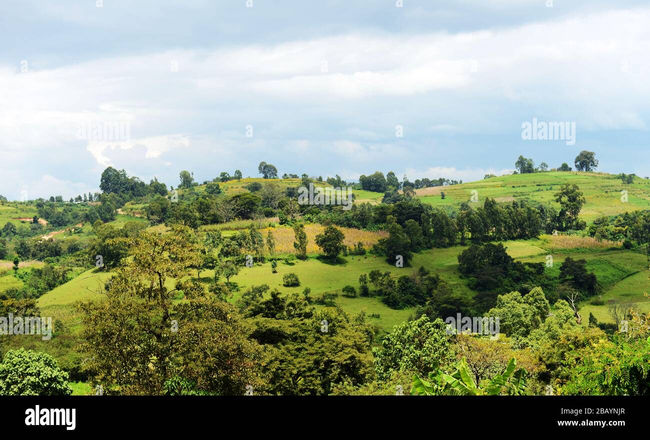 Landscapes of the Kaffa region in Ethiopia. Stock Photo