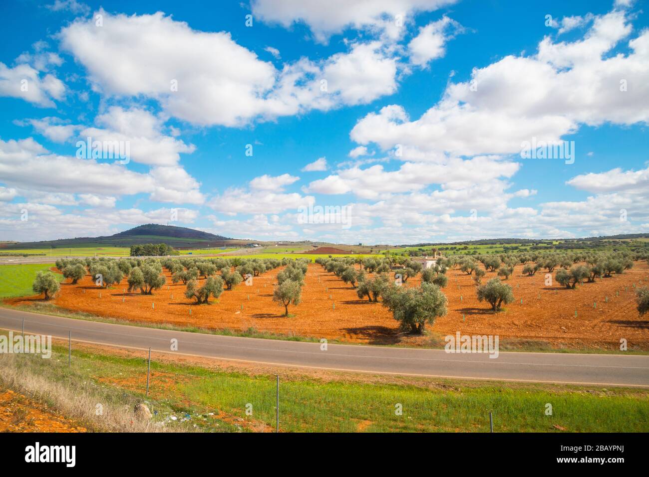 Cultivos de cultivo hi-res stock photography and images - Alamy
