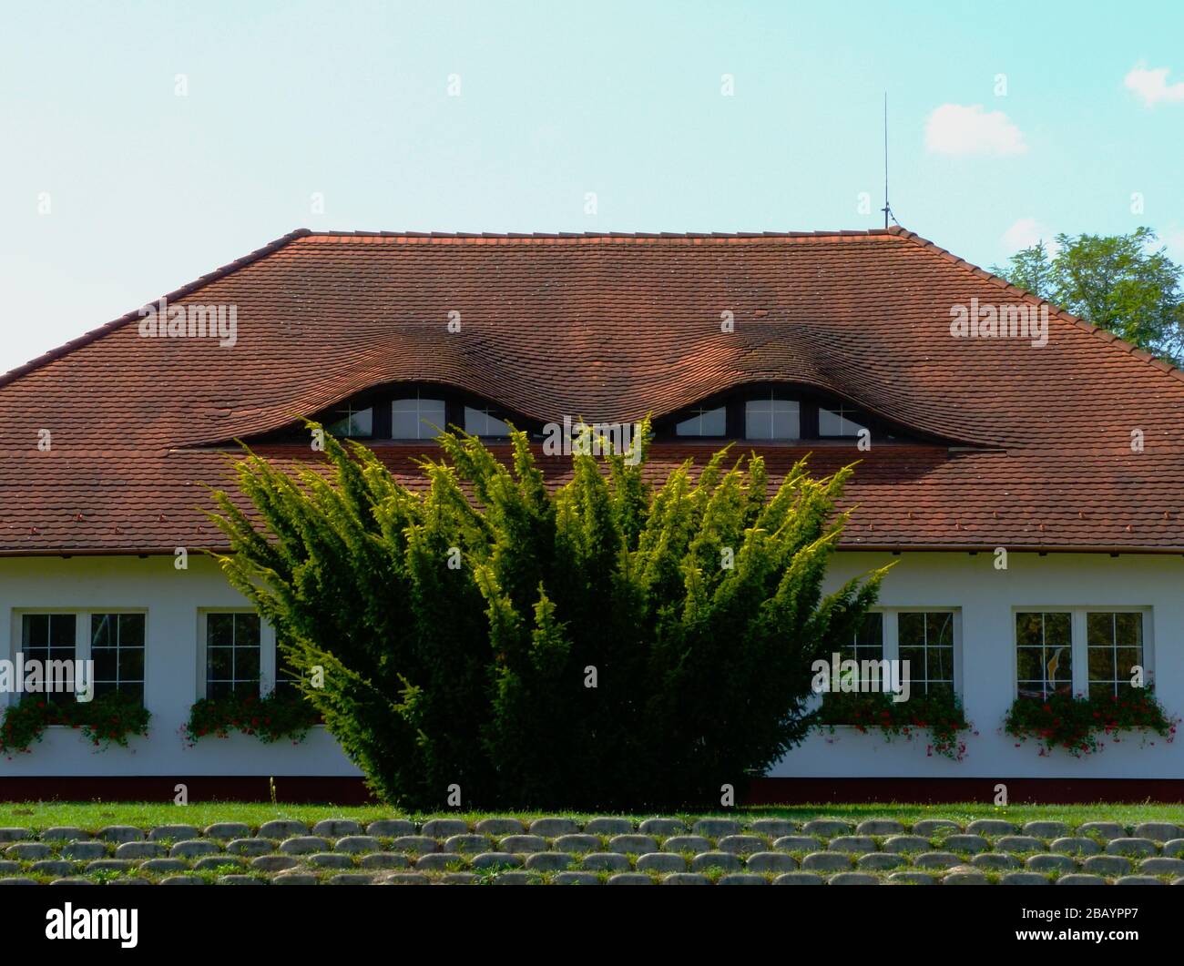 Frontal Exterior Elevation Of White Stucco House Sloped Brown Clay Roof And Arched Dormers And Vertical Wooden Windows Bright Green Evergreen Bush Stock Photo Alamy