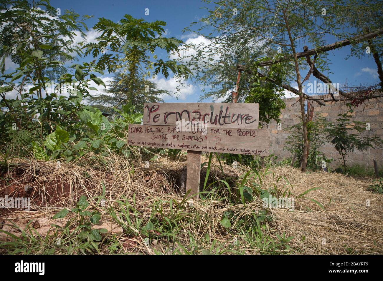A Permaculture garden in a school for orphaned children on Mombasa road, Nairobi, Kenya. Stock Photo