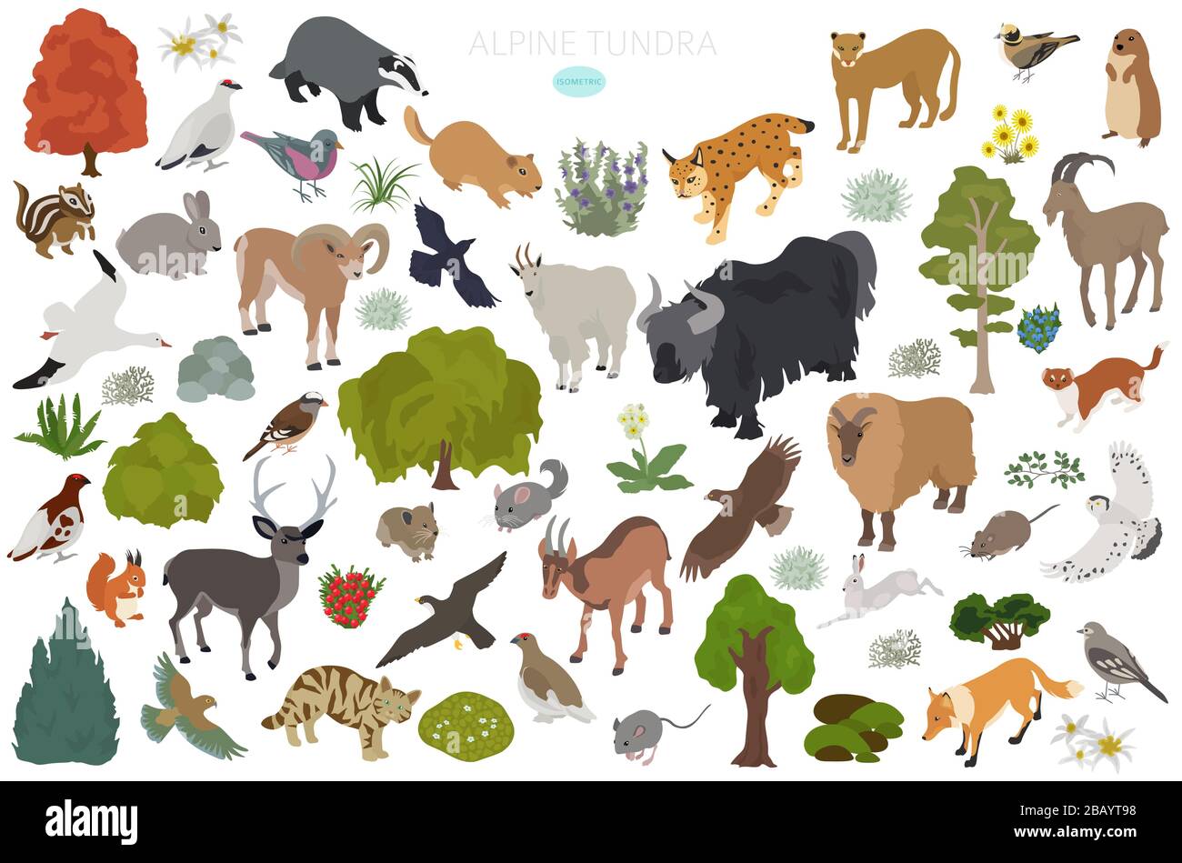 Apine tundra biome, natural region isometric infographic. Terrestrial ecosystem world map. Animals, birds and plants design set. Vector illustration Stock Vector