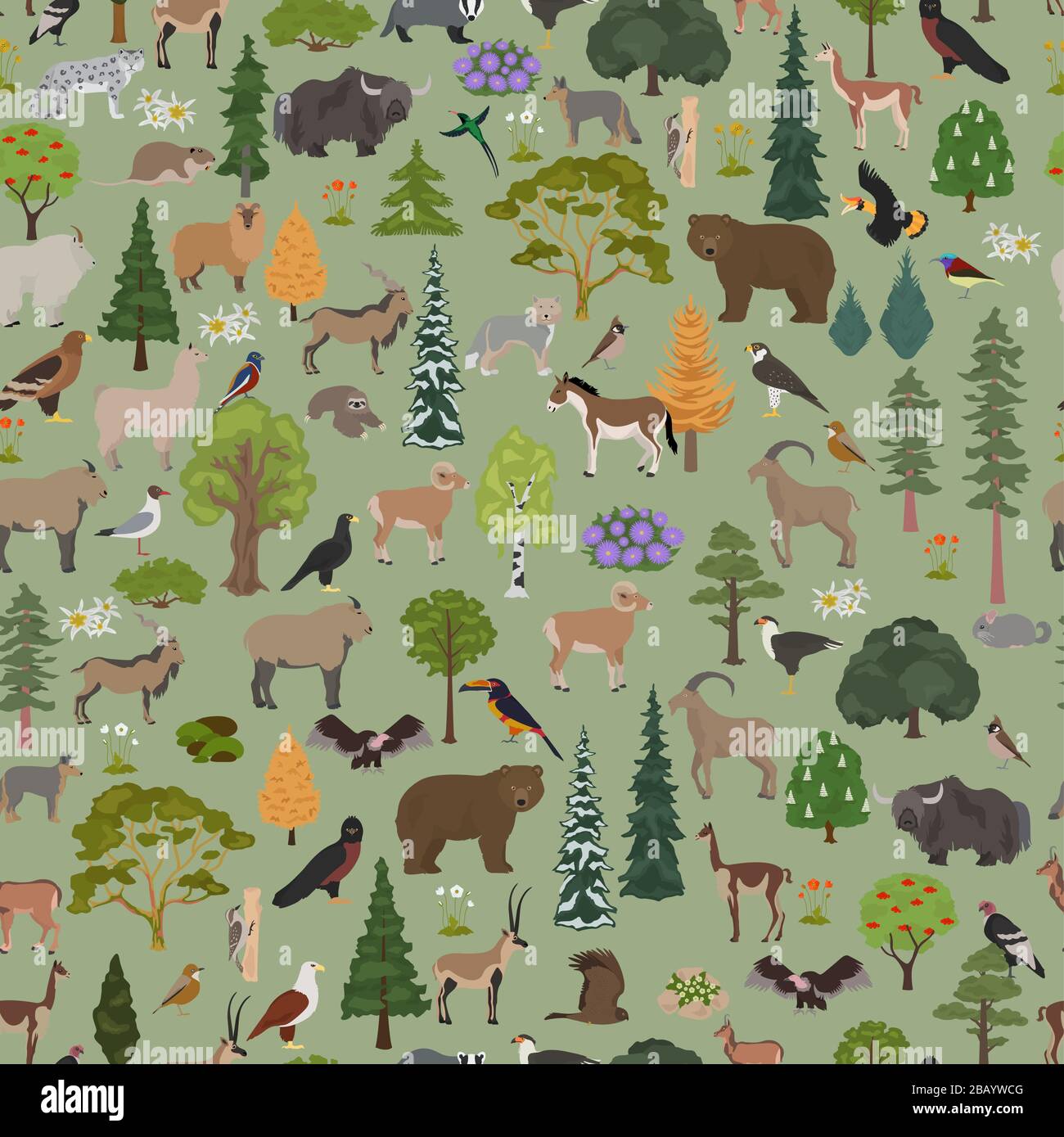 Montane forest biome, natural region seamless pattern. Terrestrial ecosystem world map. Animals, birds and vegetations ecosystem design set. Vector il Stock Vector