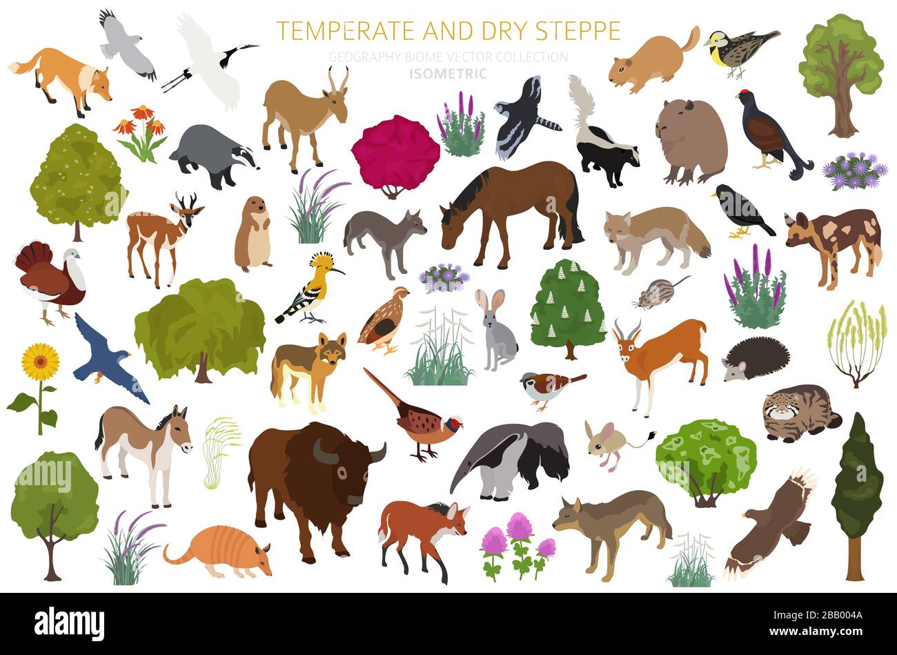 Temperate and dry steppe biome, natural region isometric infographic. Prarie, steppe, grassland, pampas. Terrestrial ecosystem world map. Animals, bir Stock Vector