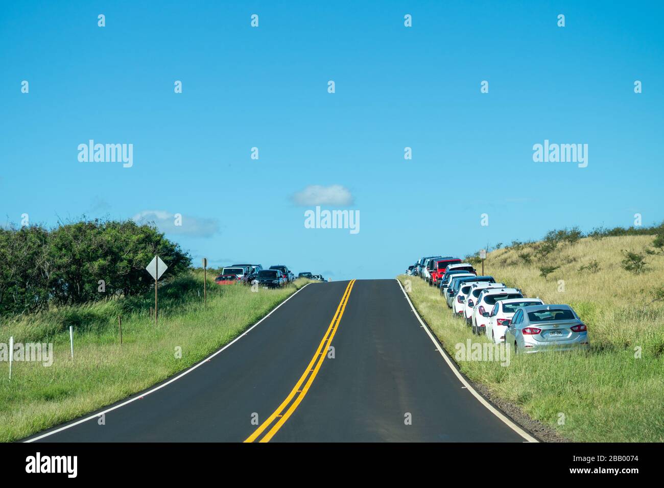Fields of Unused Rental Cars in Maui, Hawaii during Covid19 Pandemic