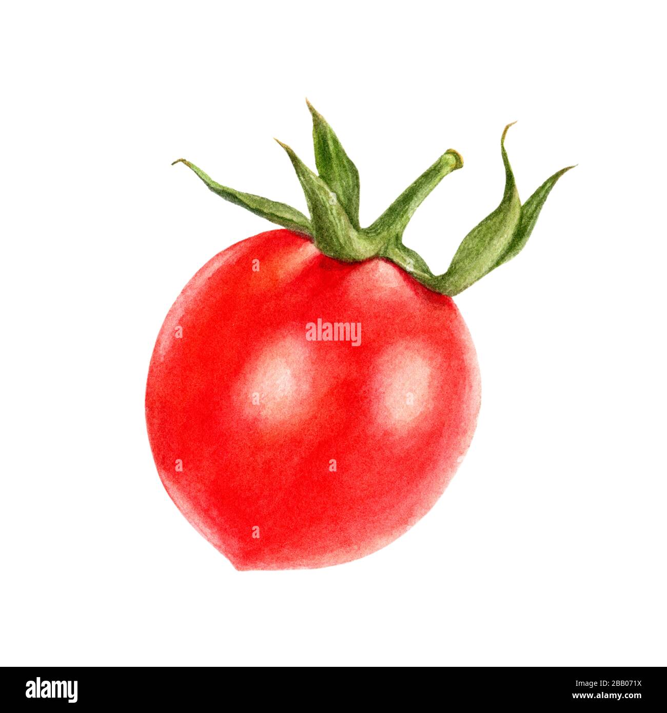 Cherry tomato watercolor isolated on white background Stock Photo - Alamy