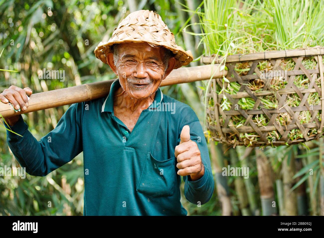Man carrying rice paddy field hi-res stock photography and images - Alamy