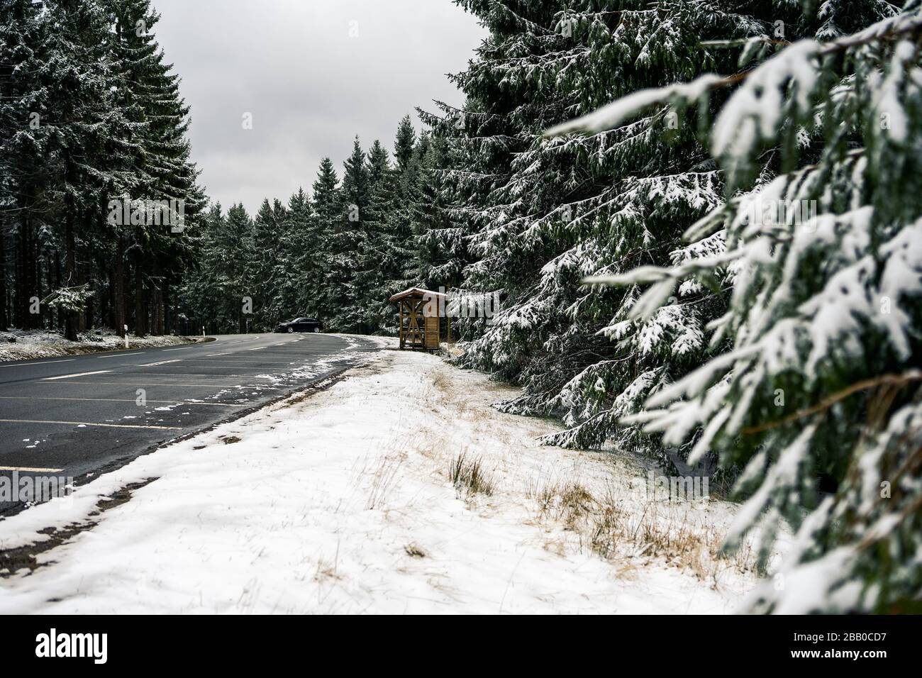 curved wet asphalt road in snowy pine forest Stock Photo - Alamy