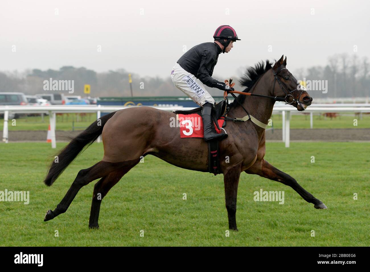Wm hills horse racing Wm hills horse racing