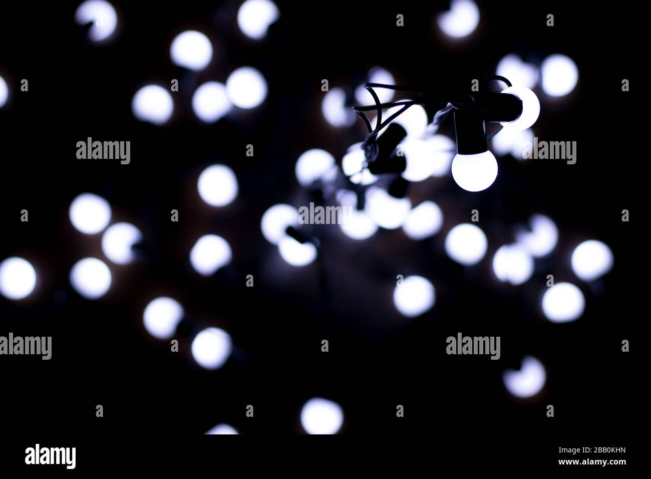 Little white lights on a garland, blur, creative background Stock Photo
