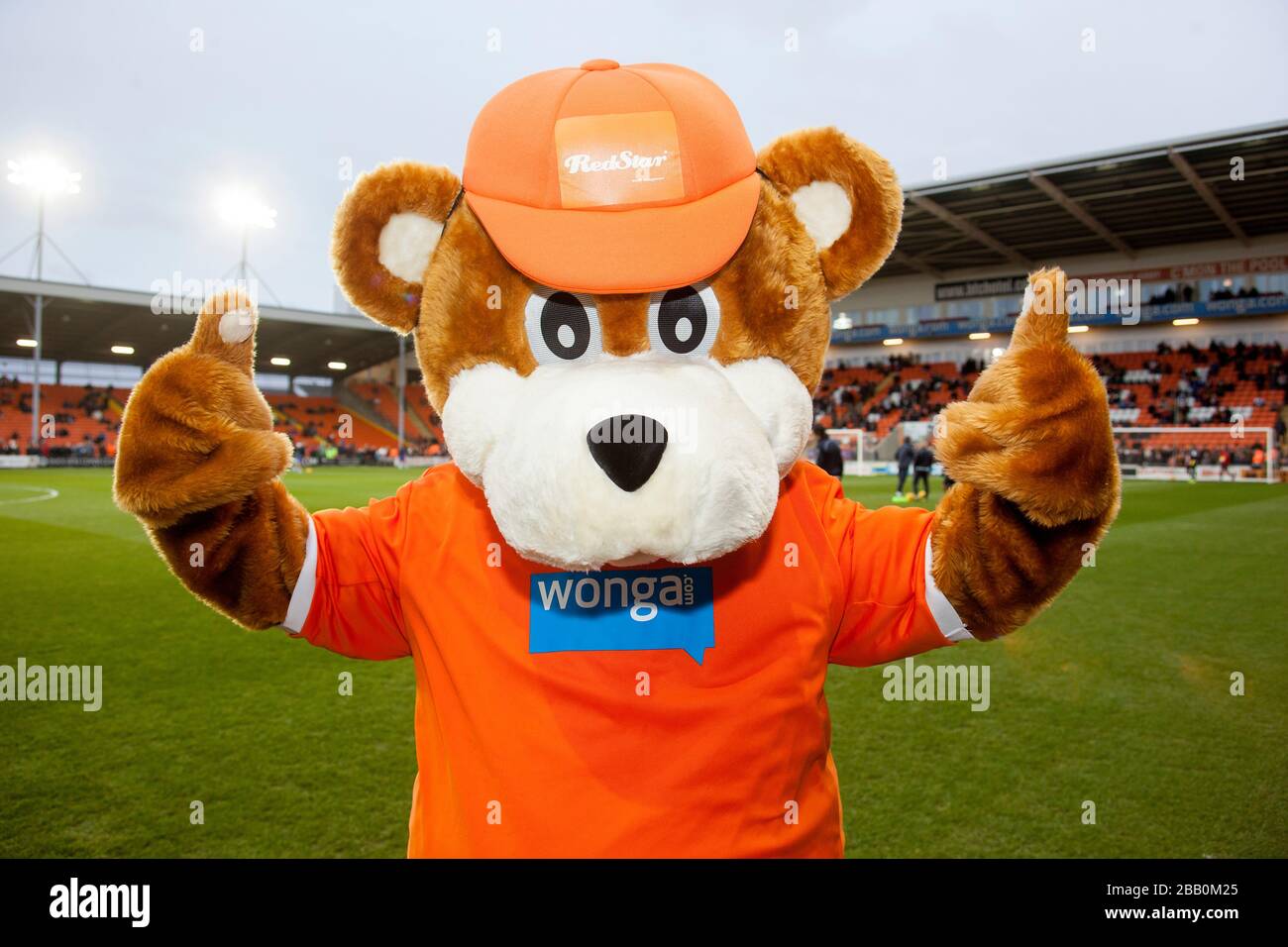 Blackpool mascot Bloomfield Bear Stock Photo