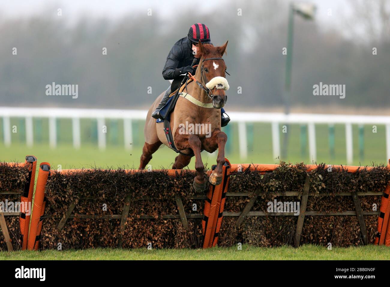 Chat Room ridden by Denis O'Regan during the Betfred 'Goals Galore' Handicap Hurdle Stock Photo