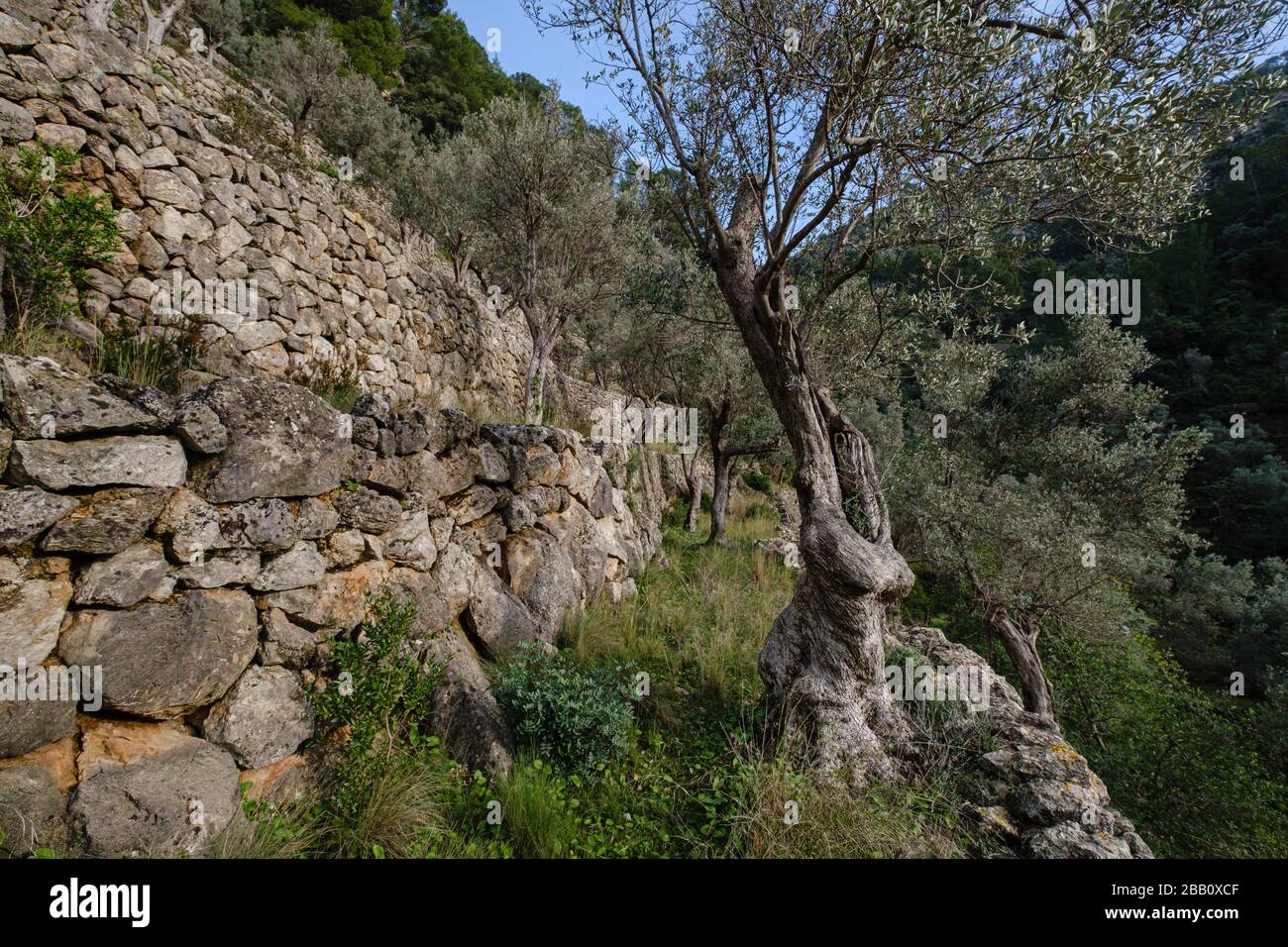 Serra de tramuntana world heritage site hi-res stock photography and images  - Page 22 - Alamy