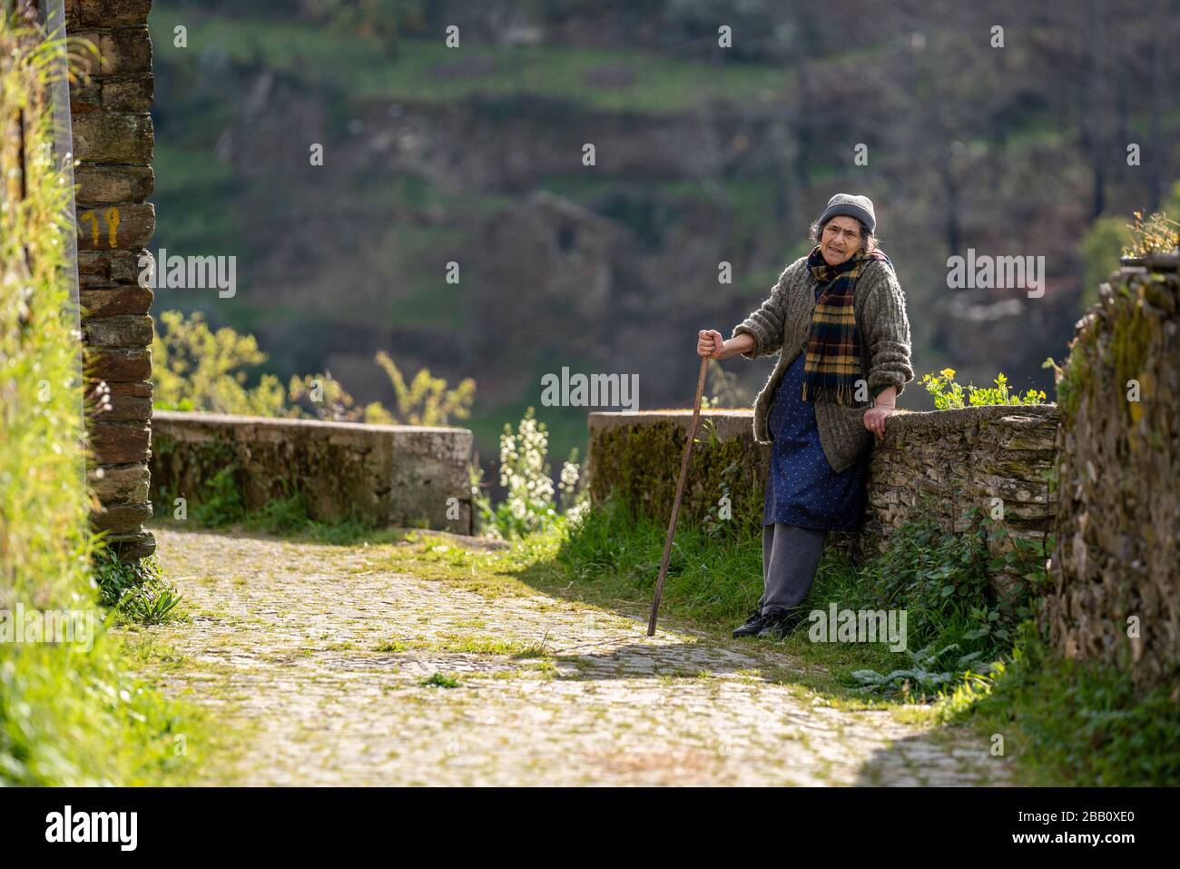 Portrait of an elderly woman with cane Stock Photo