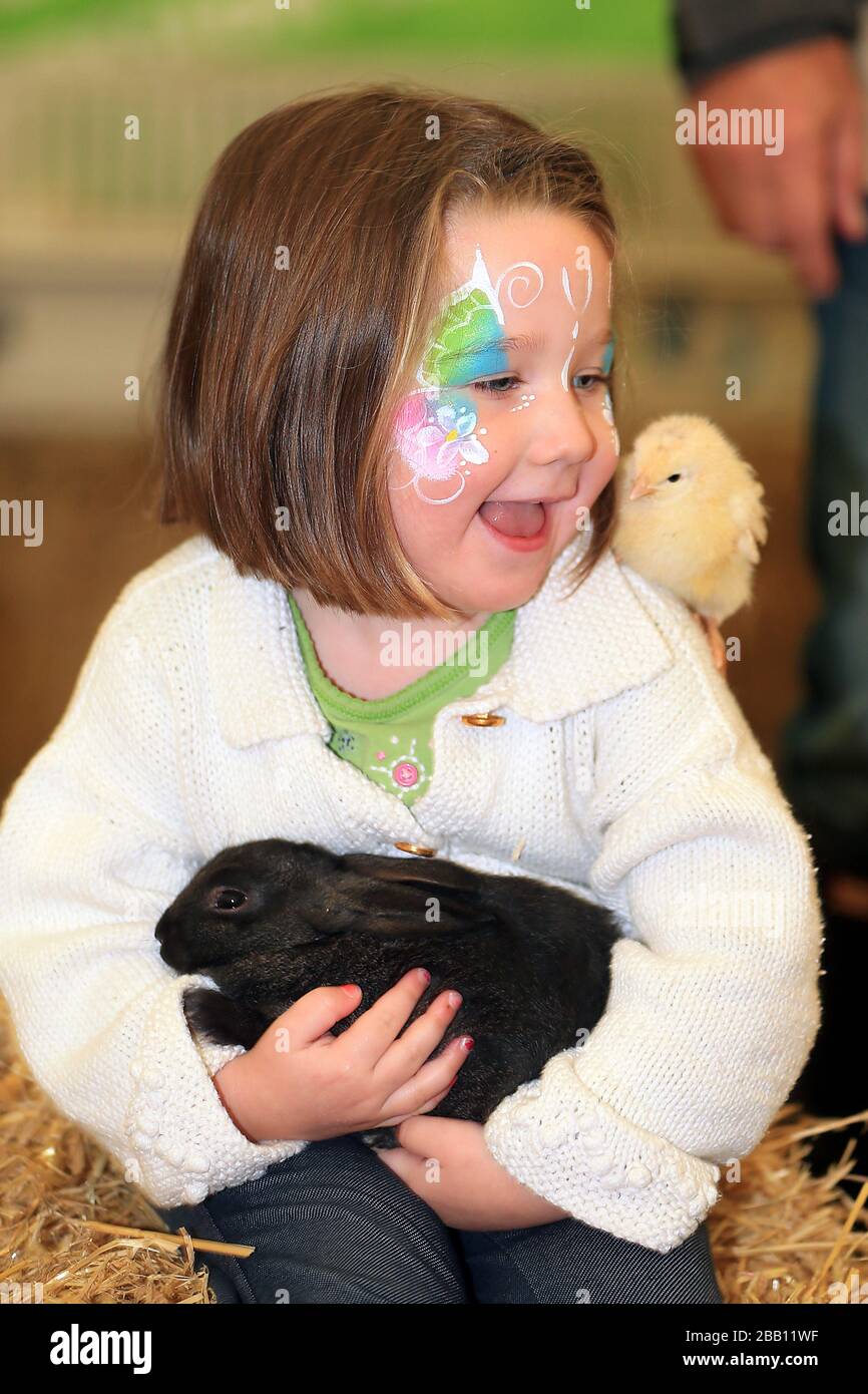 Children meet animals at the Cotswold Farm Park at the tented village