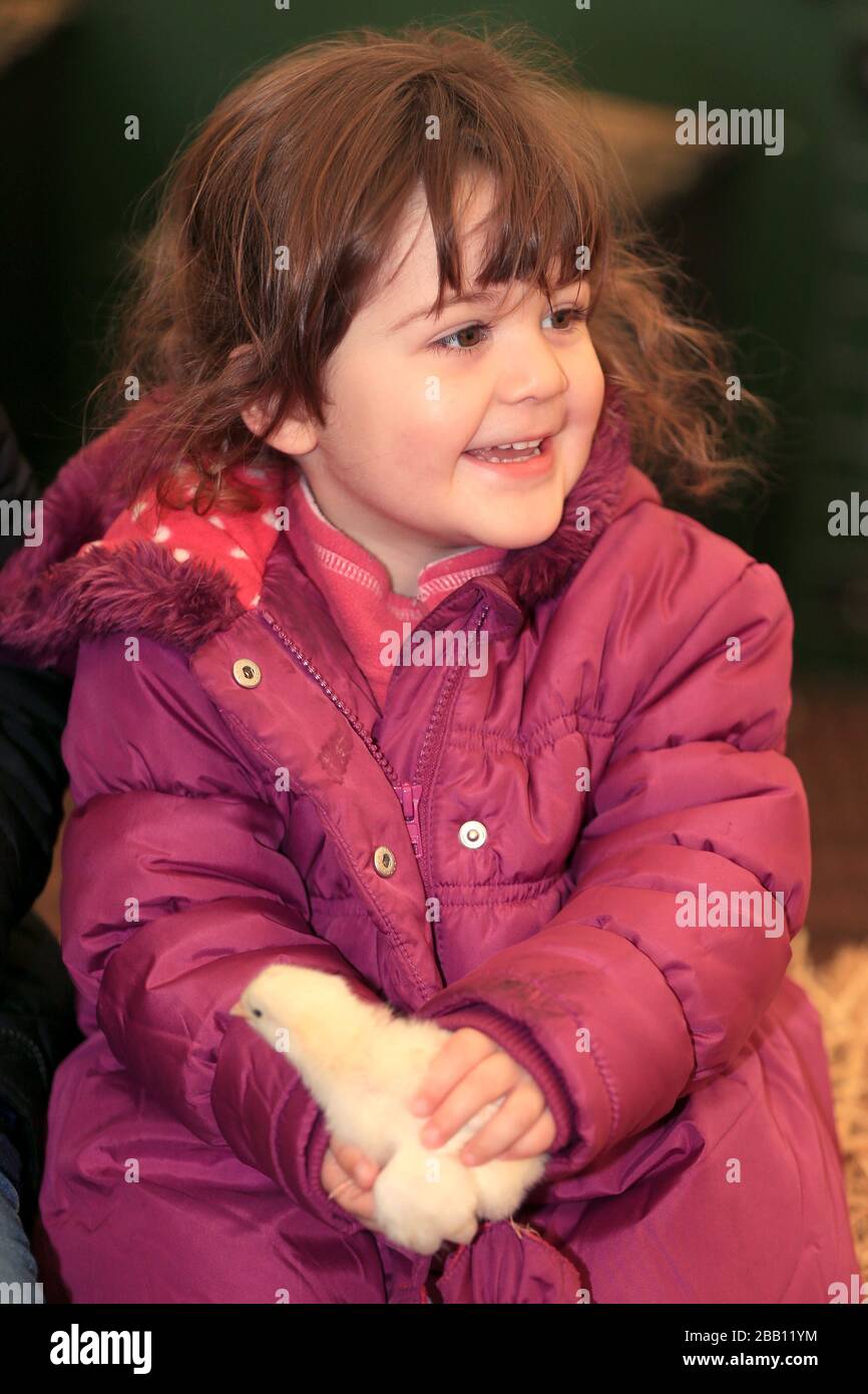 Children meet animals at the Cotswold Farm Park at the tented village