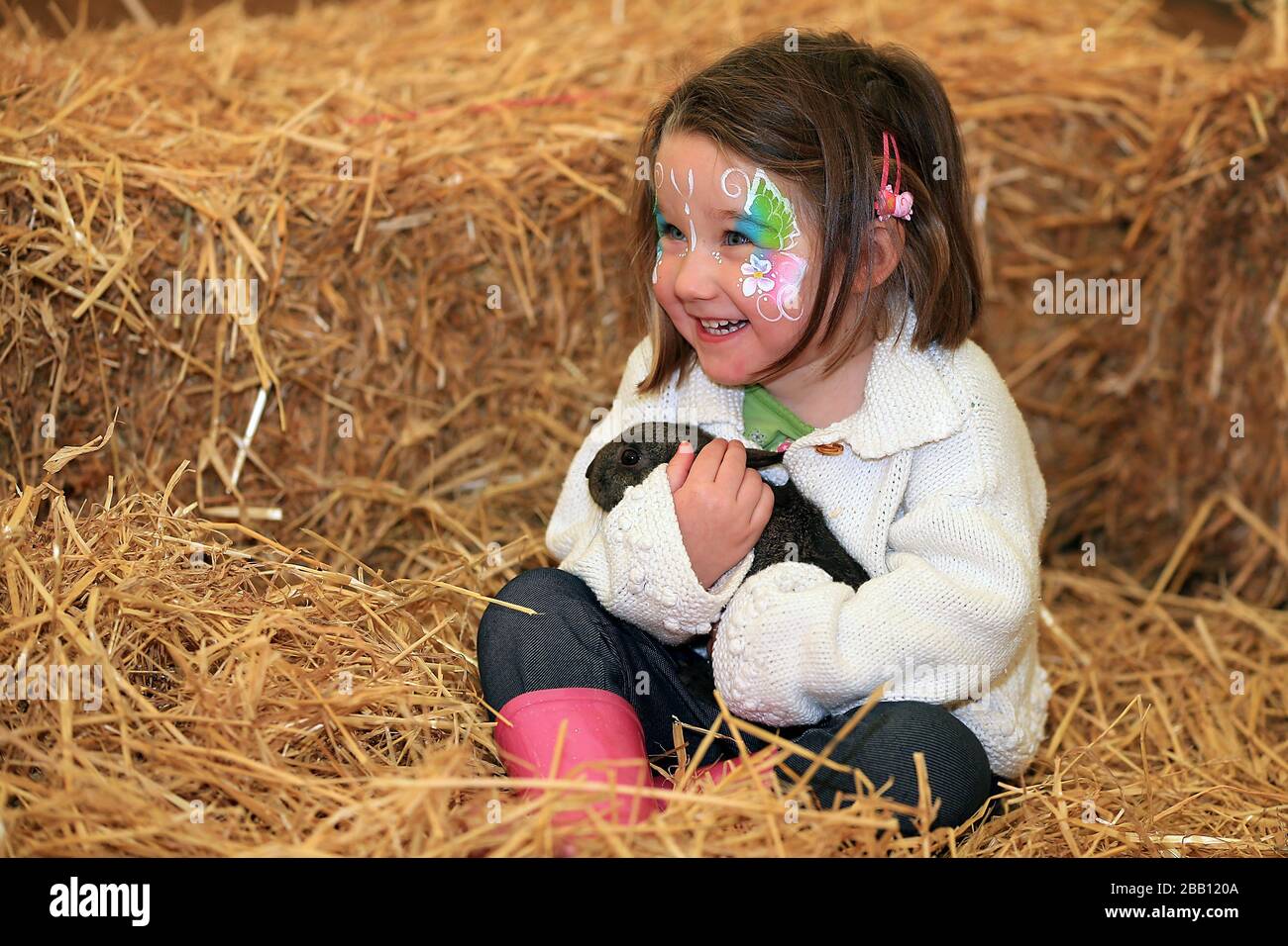 Children meet animals at the Cotswold Farm Park at the tented village