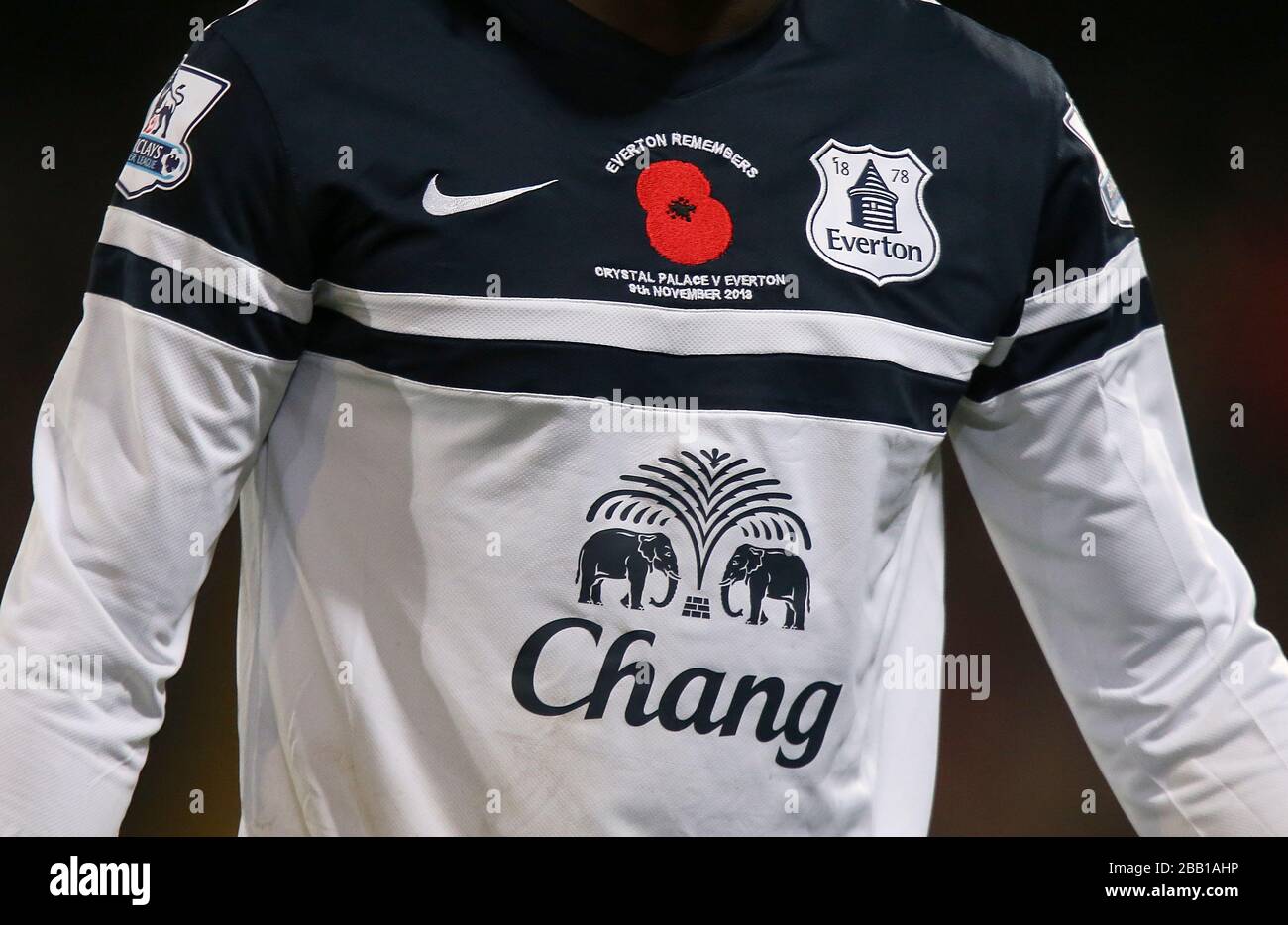 Remembrance Day poppy Stock Photo 