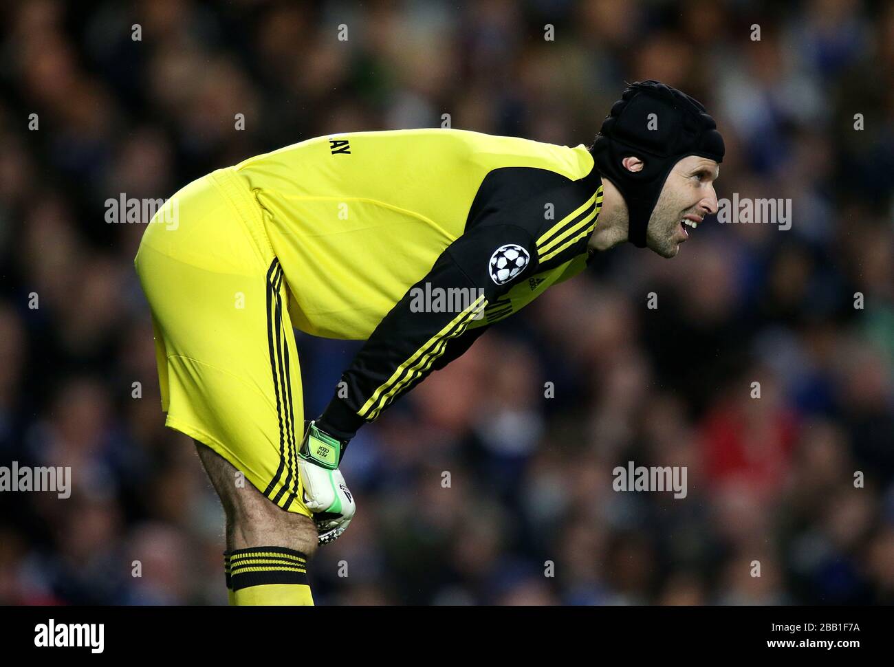 Chelsea goalkeeper Petr Cech Stock Photo - Alamy