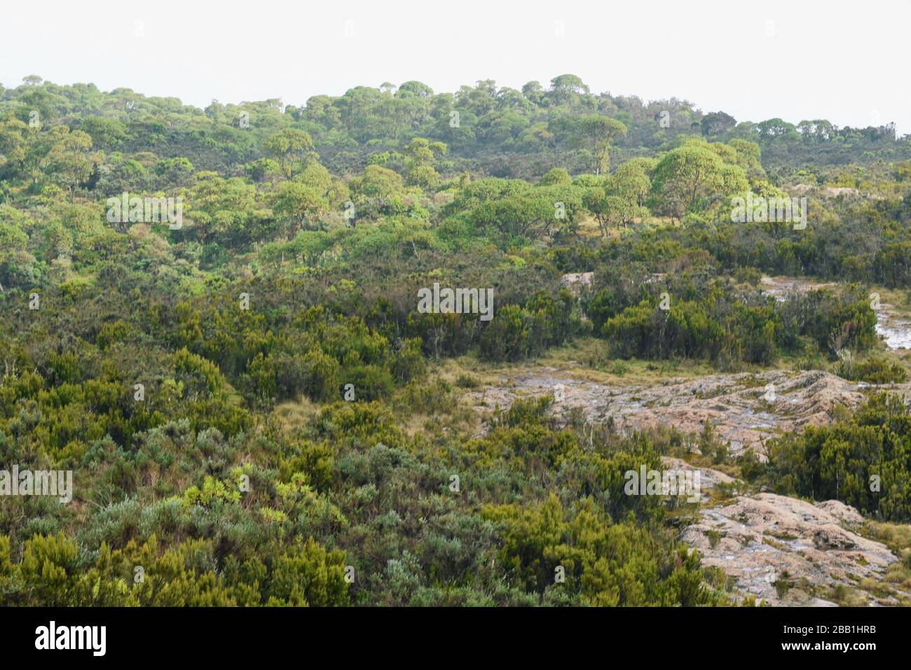 Aberdare ranges hi-res stock photography and images - Alamy