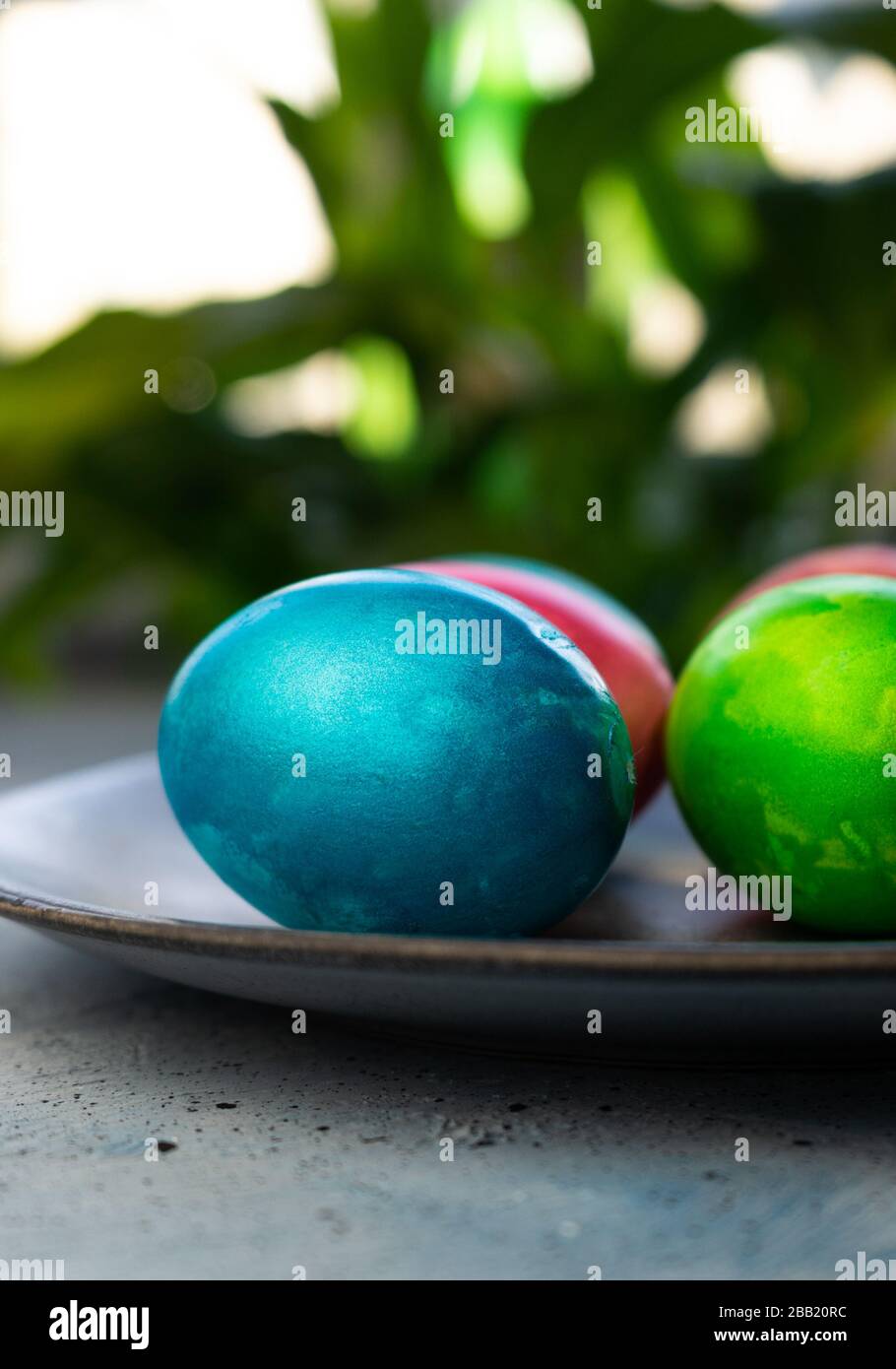 Selective Focus, Colored Chicken Eggs With Food Dye Stock Photo - Alamy
