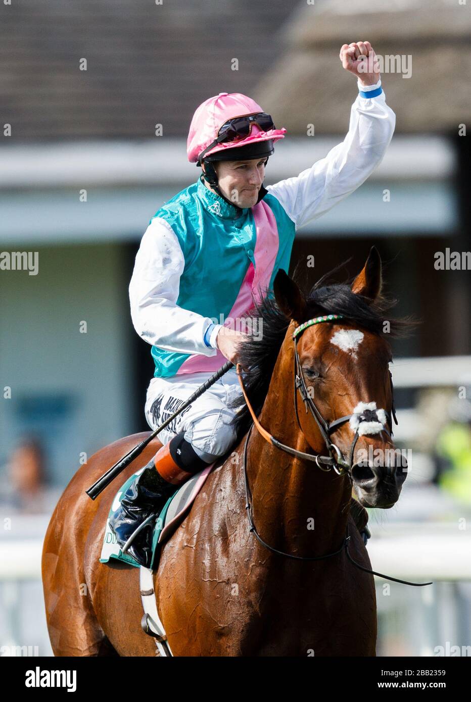Tom Queally onboard Frankel celebrates on his parade past the grandstand after winning The Juddmonte International Stakes Stock Photo