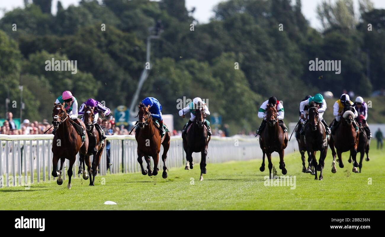 Frankel ridden by Tom Queally on the way to winning The Juddmonte International Stakes Stock Photo