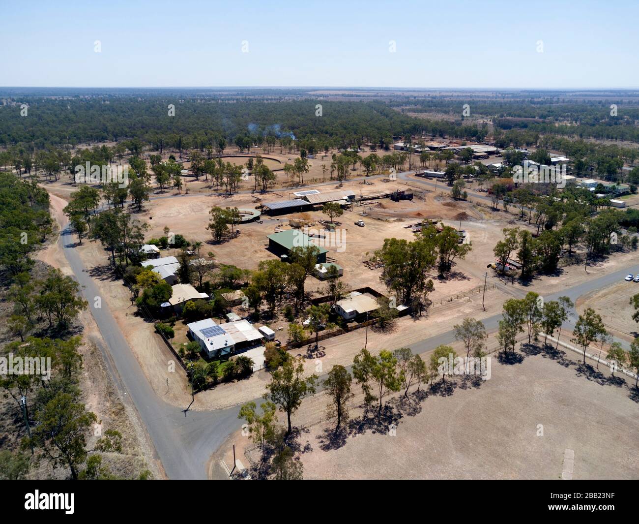 Dingo qld 4702 hires stock photography and images Alamy