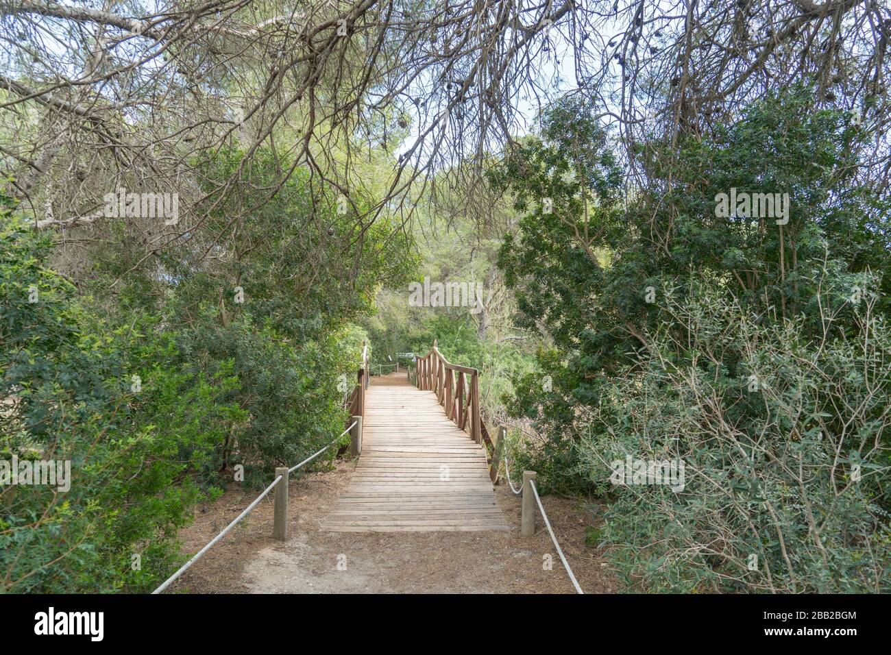en milliard flertal deformation El Saler natural park near Valencia city Spain Stock Photo - Alamy