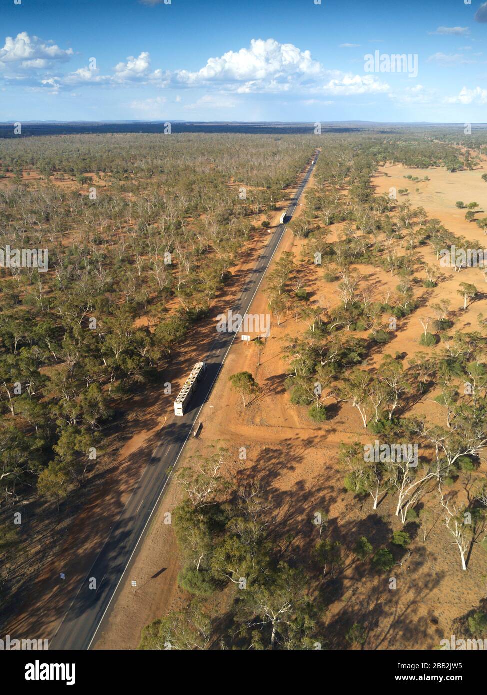 Livestock Roadtrains carrying cattle to the Roma Livestock Saleyards