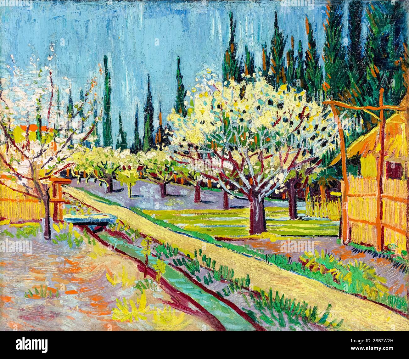 Cypresses By Vincent Van Gogh High Resolution Stock Photography And Images Alamy Cypresses By Vincent Van Gogh High Resolution Stock Photography And Images Alamy