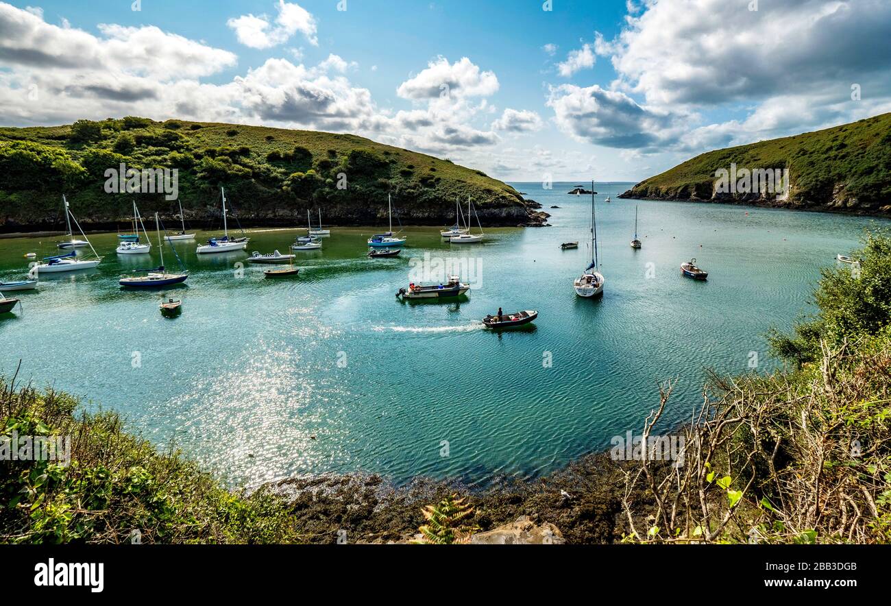 Solva Harbour in Pembrokeshire Stock Photo Alamy