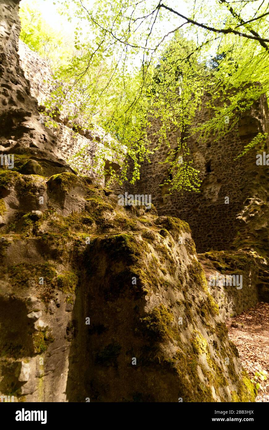 Medieval Ruin of a Castle in the Eifel, Germany Stock Photo - Alamy