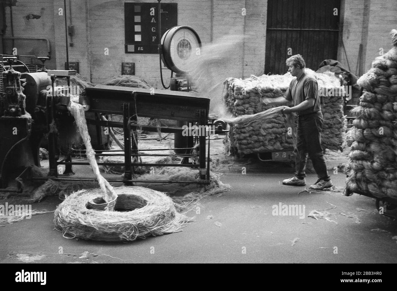 A worker feeding jute into a machine at Tay Spinners mill in Dundee, Scotland. This factory was the last jute spinning mill in Europe when it closed for the final time in 1998. The city of Dundee had been famous throughout history for the three 'Js' - jute, jam and journalism. Stock Photo