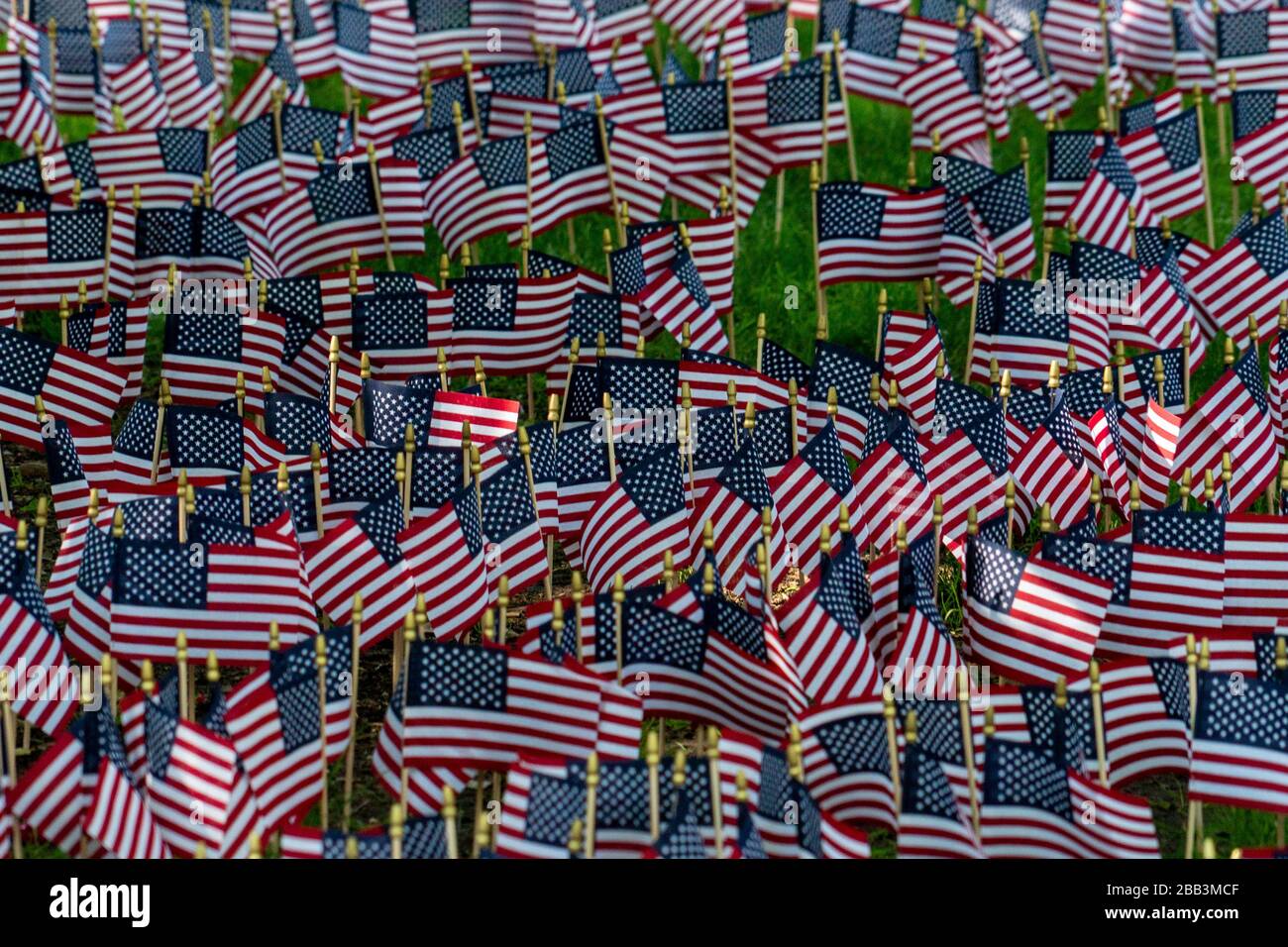 Memorial park many american flags hi-res stock photography and images ...