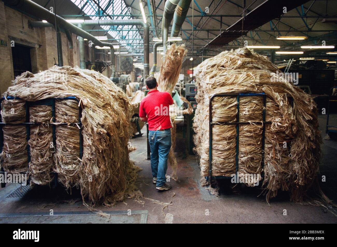 A worker loading unprocessed jute into a machine at Tay Spinners mill in Dundee, Scotland. This factory was the last jute spinning mill in Europe when it closed for the final time in 1998. The city of Dundee had been famous throughout history for the three 'Js' - jute, jam and journalism. Stock Photo