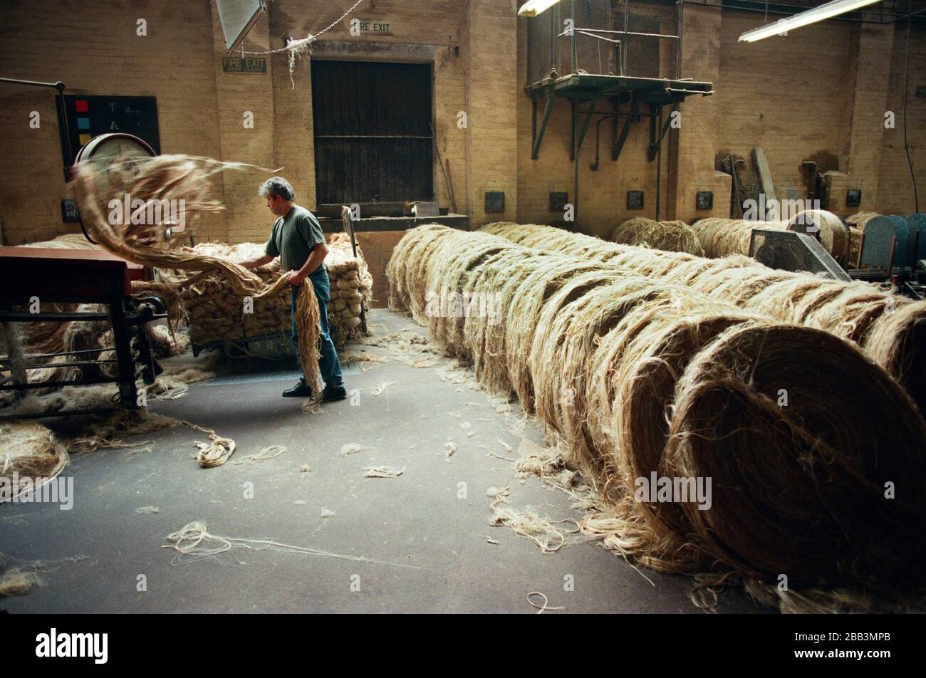 A worker feeding jute into a machine at Tay Spinners mill in Dundee, Scotland. This factory was the last jute spinning mill in Europe when it closed for the final time in 1998. The city of Dundee had been famous throughout history for the three 'Js' - jute, jam and journalism. Stock Photo