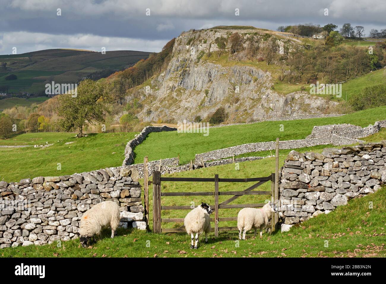 View of Langcliffe Scar, Ribblesdale, Yorkshire Dales, England Stock Photo