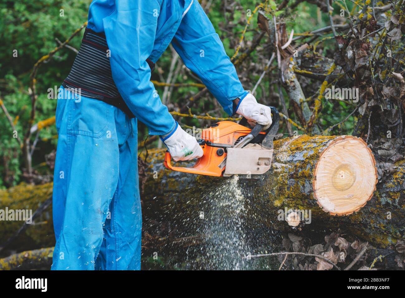 Cutting the wood hi-res stock photography and images - Alamy