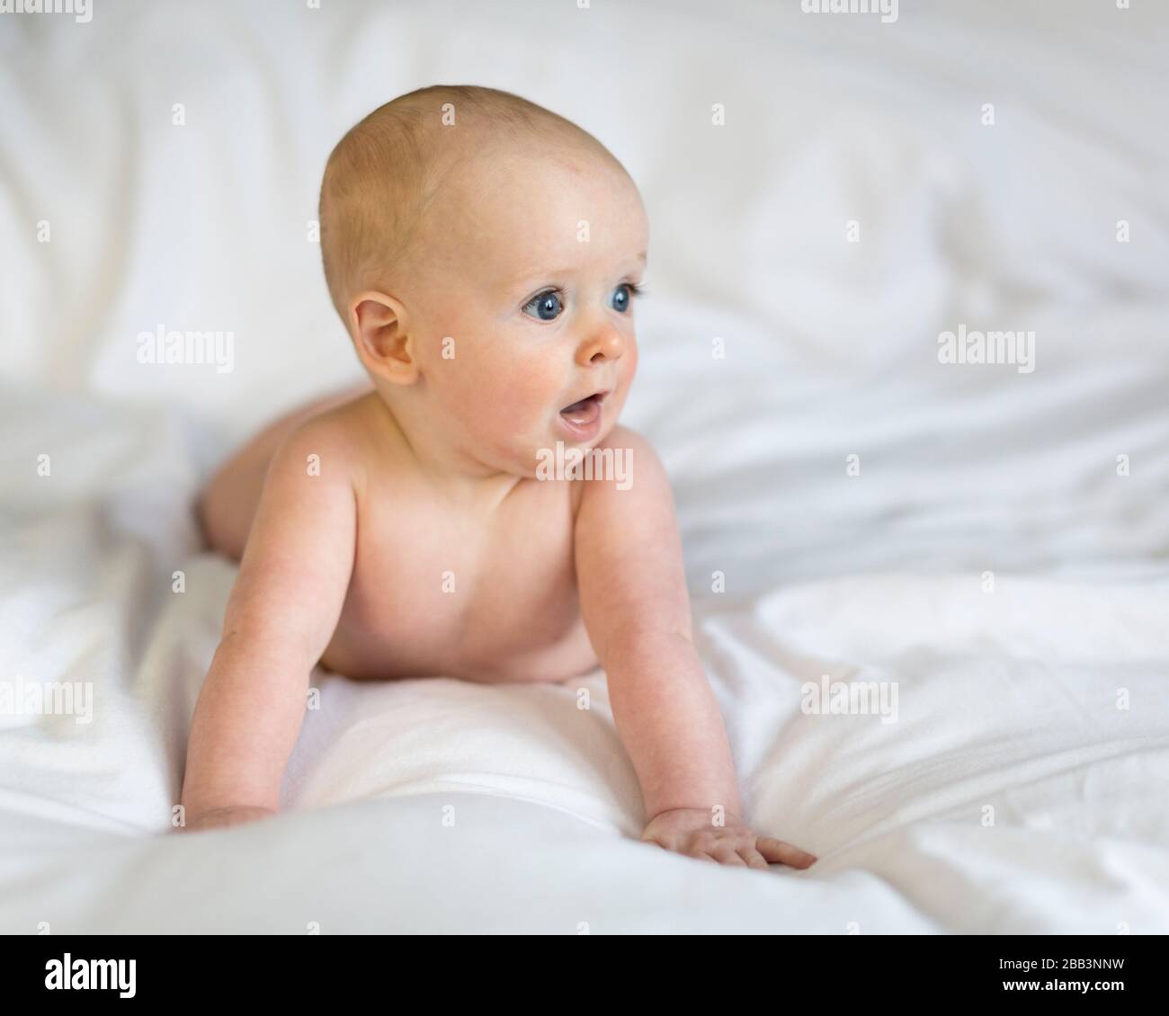 Baby boy, 5 months old, lying on a bed, UK Stock Photo