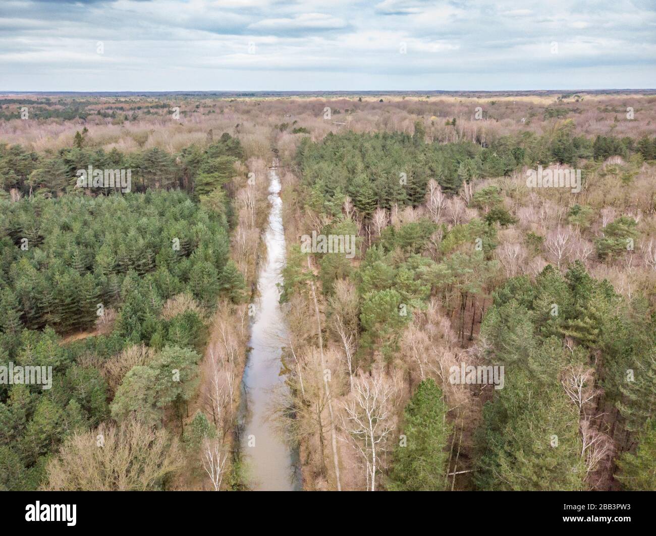 Aerial drone shot, of a forest with river or canal running through in early spring. Location: antitankgracht Kapellen. Creative edit. Stock Photo