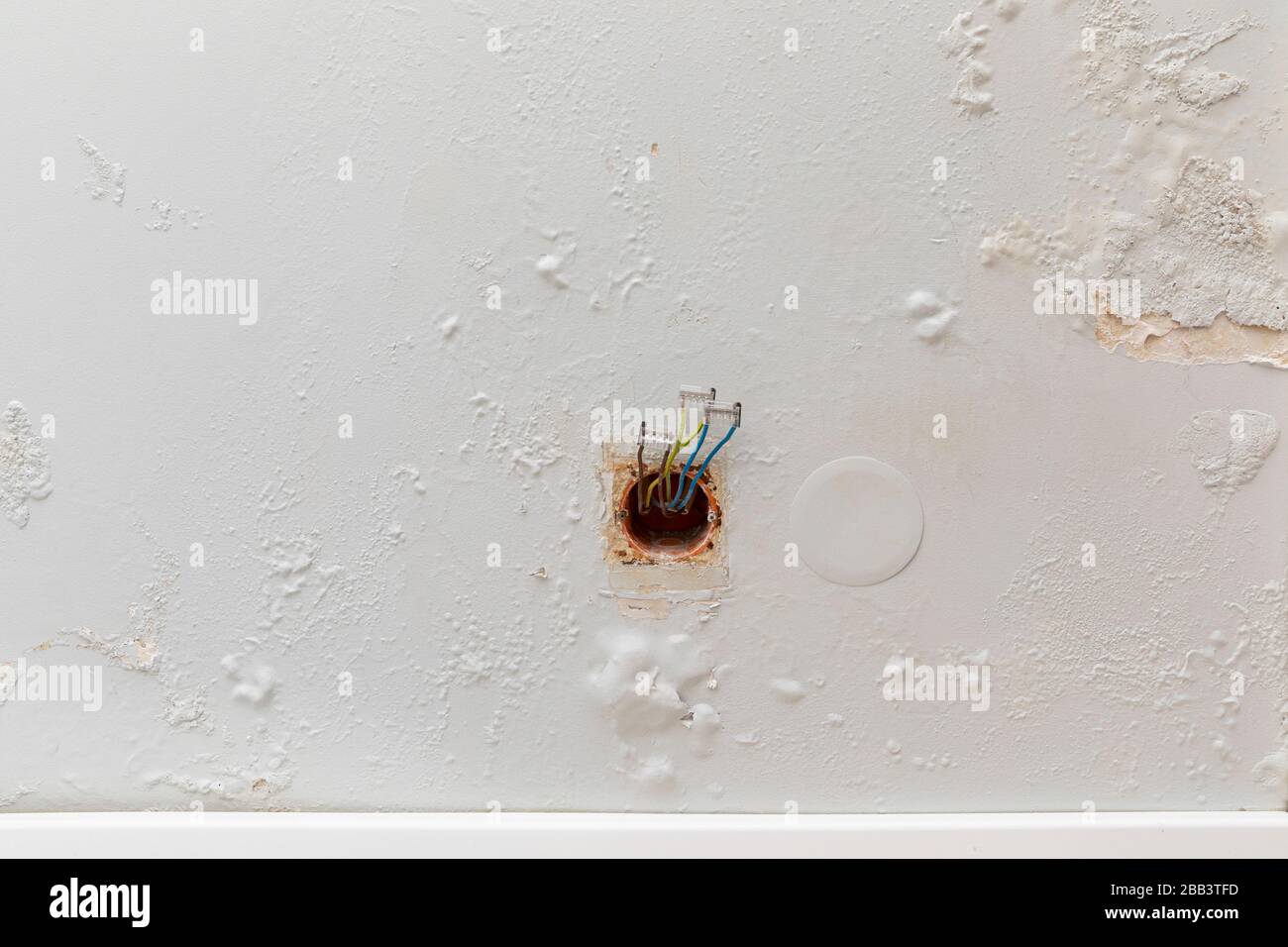 Fungus on the wall in a freshly renovated apartment. Poor waterproofing. Problem in rainy, it's moisture on the wall. Stock Photo