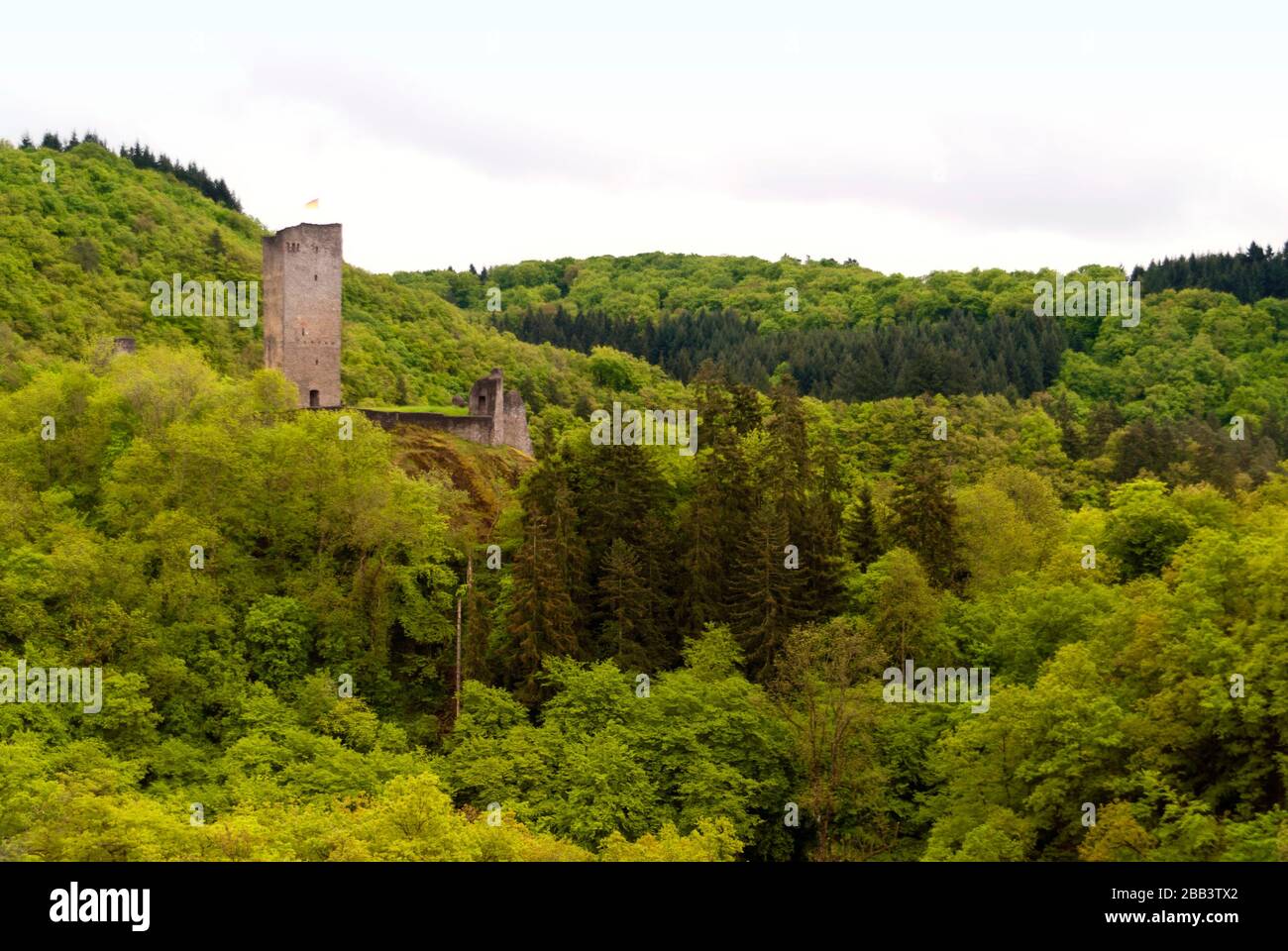 Medieval Ruin of a Castle in the Eifel, Germany Stock Photo - Alamy