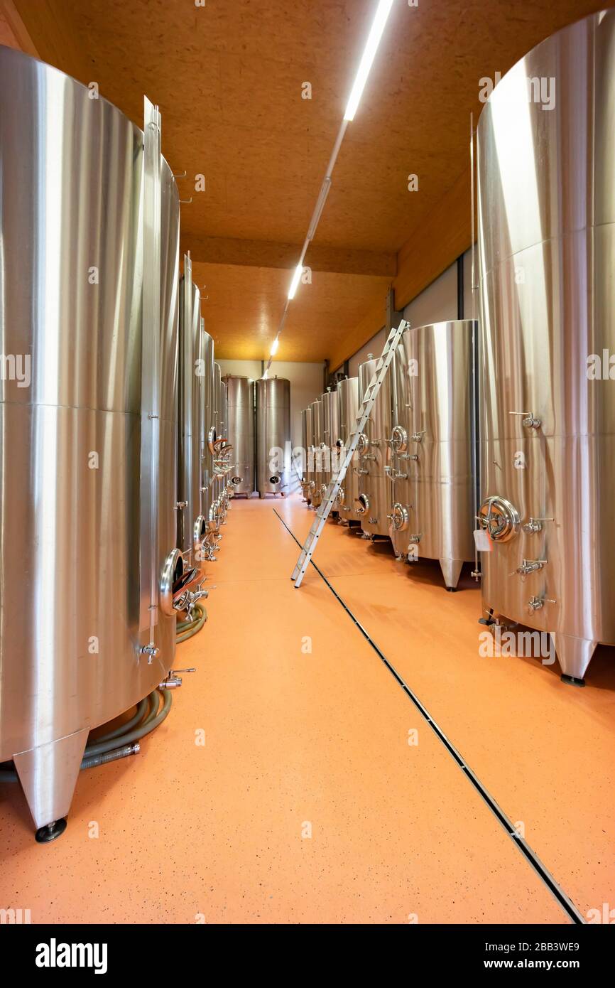 wine cellar in Traiskirchen near Vienna, Thermenregion, Austria Stock