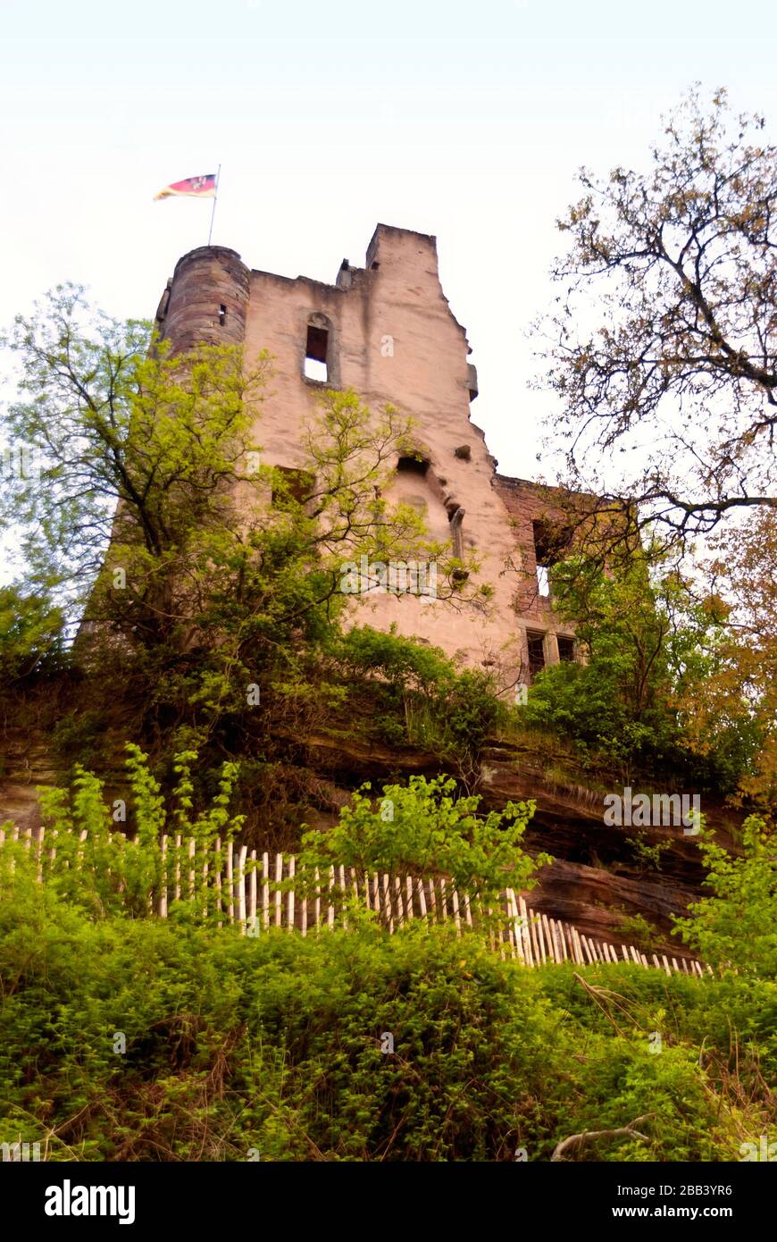 Medieval Ruin of a Castle in the Eifel, Germany Stock Photo - Alamy