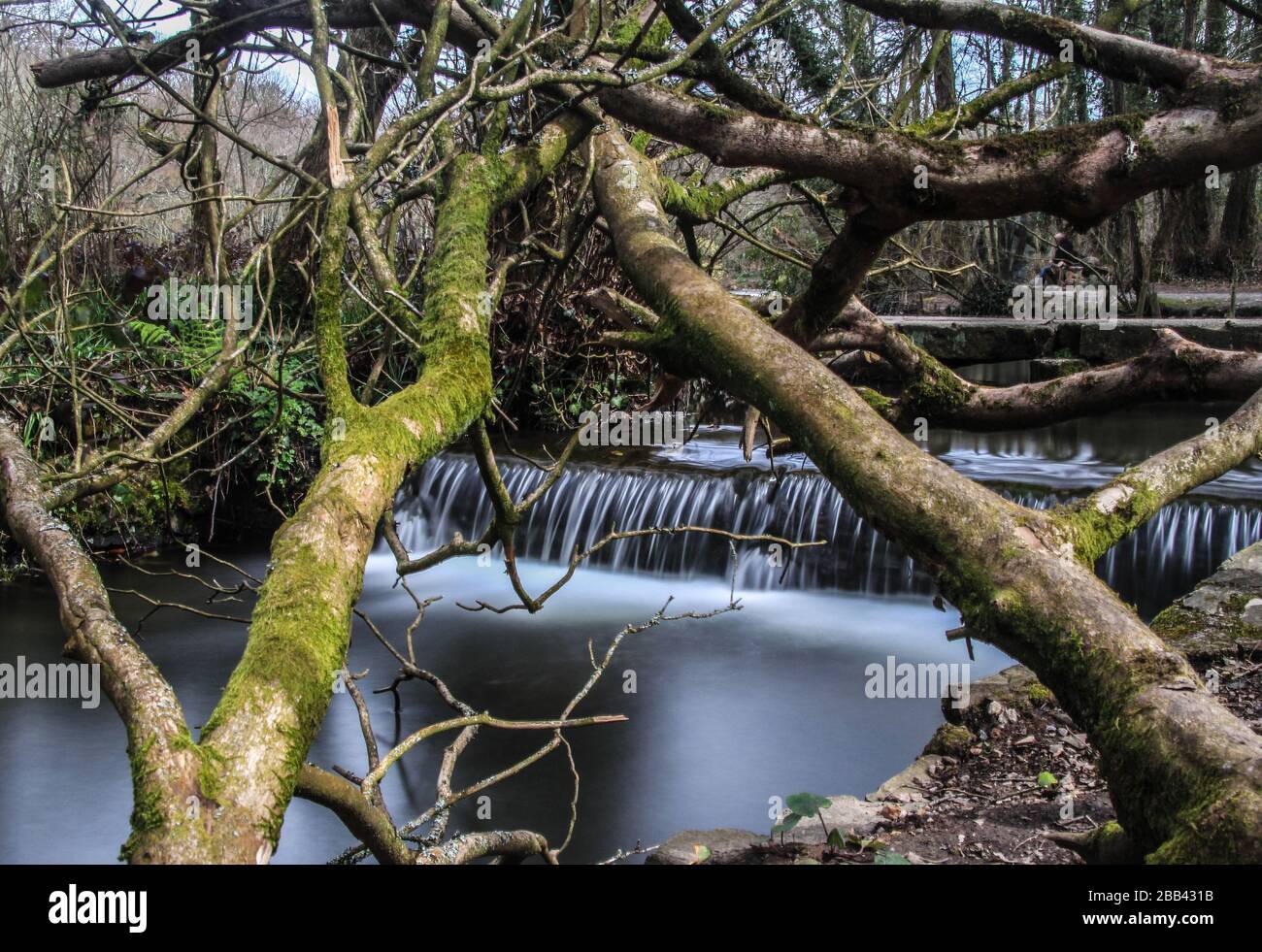 Cornwall waterfall Stock Photo