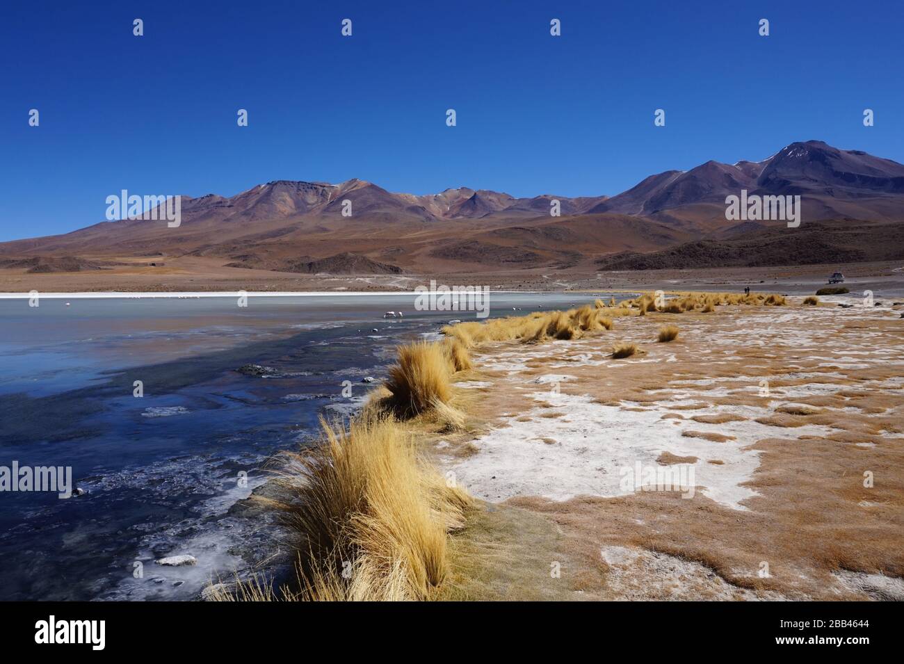 Lagoon in Eduardo Abaroa Nation Park in Bolivia Stock Photo