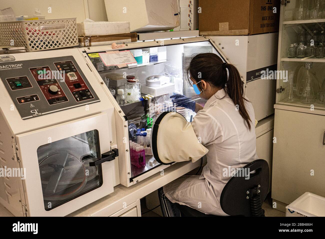 female lab technician works in an airtight air lock at a Virus testing