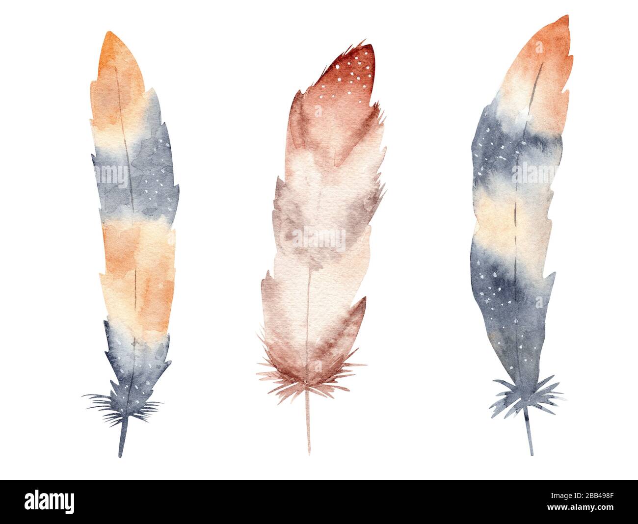 Hand drawn watercolor feather set. Boho style illustration isolated on ...